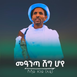 Shishay Tsegay Meanta Shig Hoye Eritrean Music