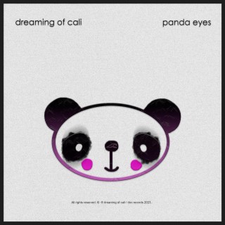 panda eyes (Radio Edit) lyrics | Boomplay Music