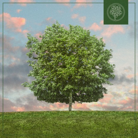 Photosynthesis ft. Beats for Trees | Boomplay Music