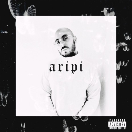 Aripi | Boomplay Music