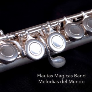 Flautas Mágicas Band