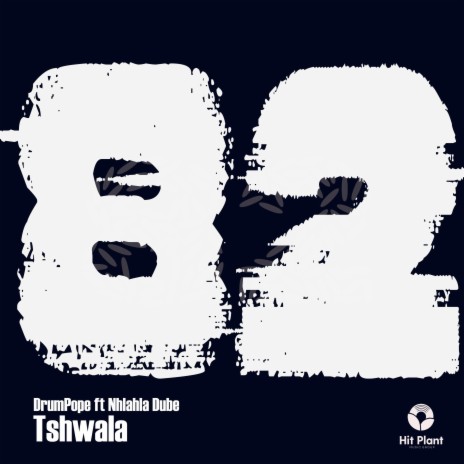 Tjwala ft. Nhlanhla Dube | Boomplay Music