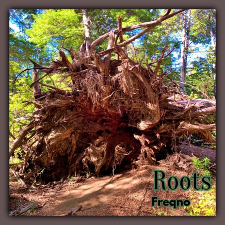 Roots