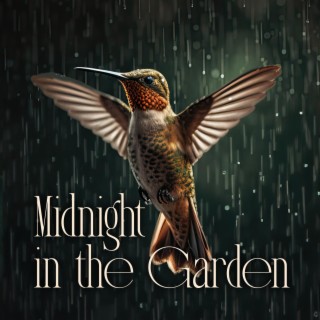 Midnight in the Garden: Nature Ringtones, Singing Birds & Rain