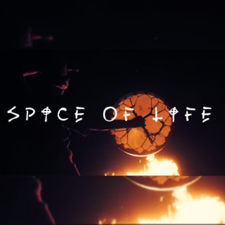 Spice of Life