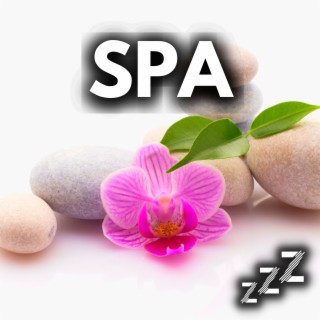 Spa Music: Relaxing Music For Spa, Massage, Yoga, Meditation, Sleeping, & More