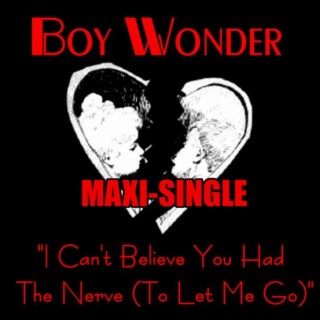 I Can't Believe You Had The Nerve To Let Me Go (Maxi-Single)