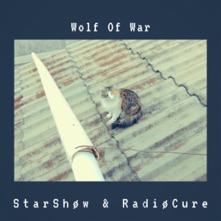 Wolf Of War