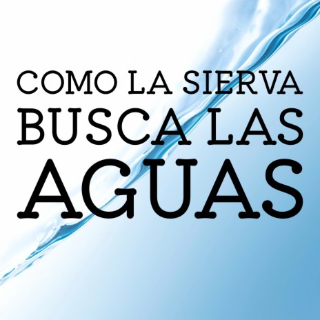 Como la Sierva Busca las Aguas ft. Grupo Nueva Vida | Boomplay Music