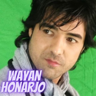 Wayan Honarjo Rubab Gham Shekastam | Boomplay Music