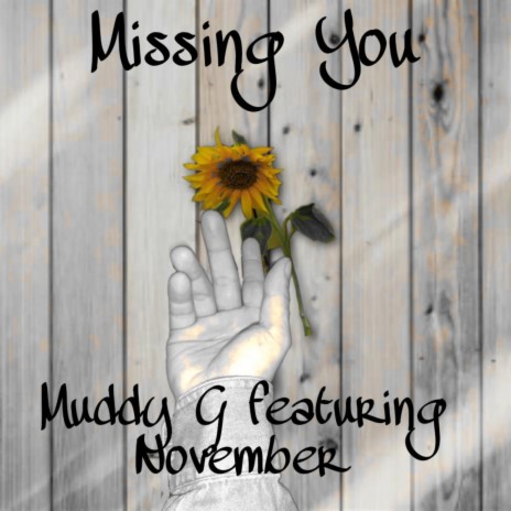 Missing You ft. NovembeR | Boomplay Music