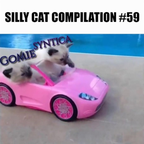 SILLY CAT COMPILATION #59 ft. syntica | Boomplay Music