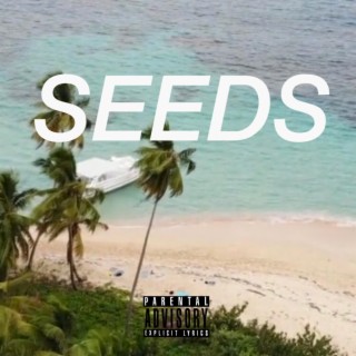 Seeds lyrics | Boomplay Music