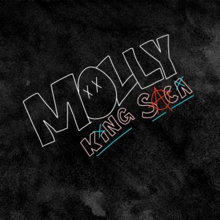 Molly (Slowed + Reverb) lyrics | Boomplay Music