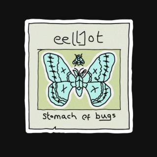 Stomach Of Bugs lyrics | Boomplay Music