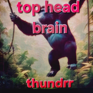 USE YOUR TOP HEAD BRAIN