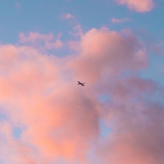 Fly High lyrics | Boomplay Music