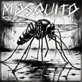 Mosquito