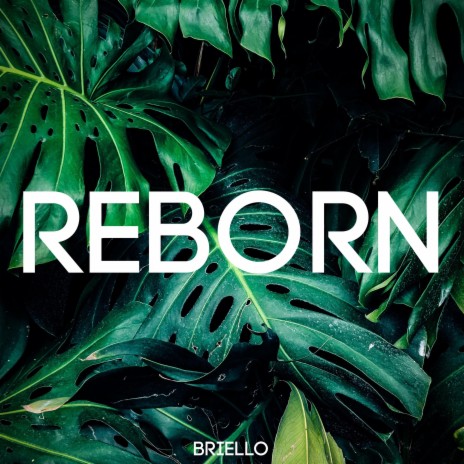 Reborn | Boomplay Music