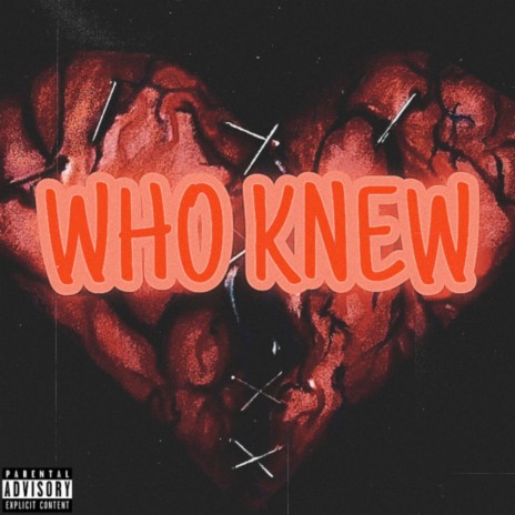 Who Knew | Boomplay Music