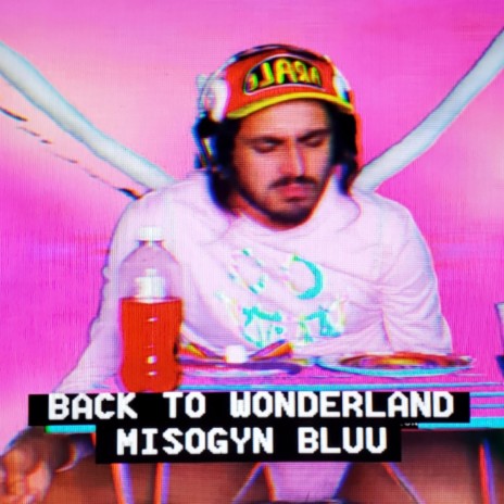 Back to Wonderland | Boomplay Music