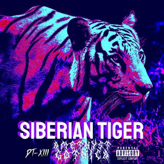 Siberian Tiger