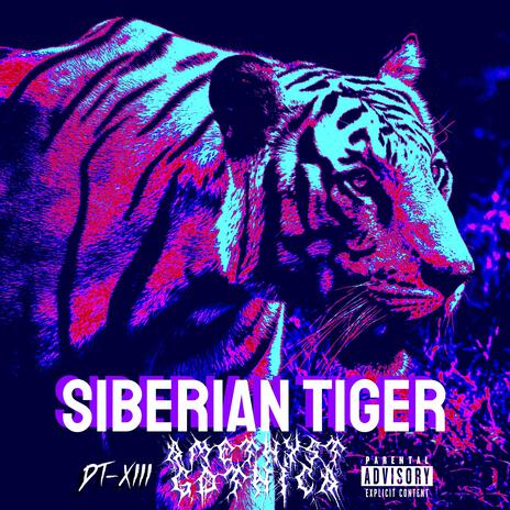 Siberian Tiger | Boomplay Music