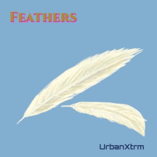 Feathers