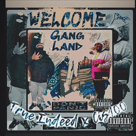 Gang Land ft. True Indeed | Boomplay Music