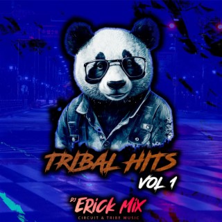 Tribal Hits, Vol. 1