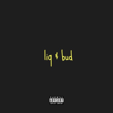 Liq & Bud | Boomplay Music