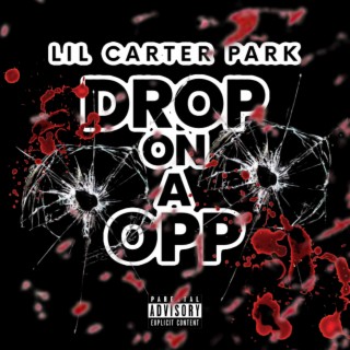Lil Carter Park