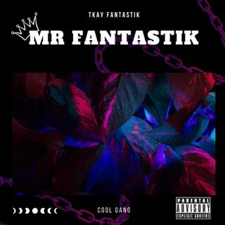 Mr Fantastik