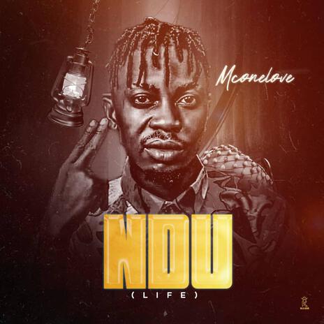 Ndu (Life) | Boomplay Music