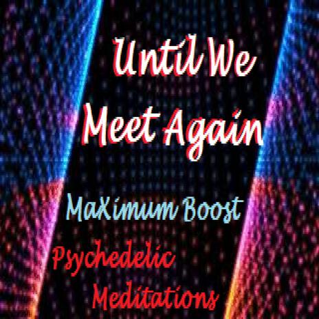 Until We Meet Again ft. Psychedelic Meditations | Boomplay Music