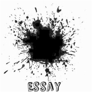 Essay