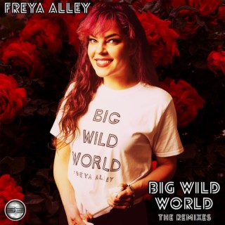 Big Wild World (The Remixes)