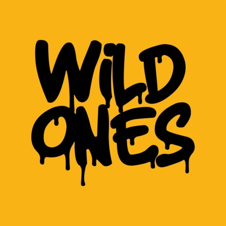 Wild Ones | Boomplay Music