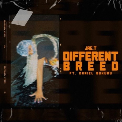 Different Breed ft. Daniel Bukuru | Boomplay Music