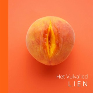 Het Vulvalied