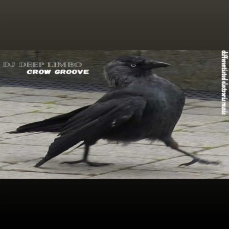 Crow groove | Boomplay Music