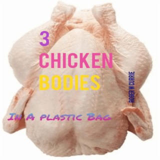 3 Chicken Bodies
