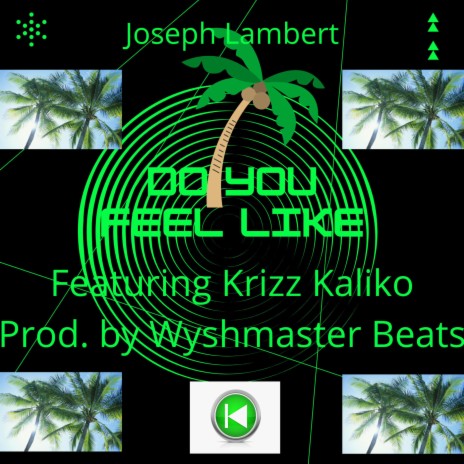 Do You Fee Like ft. Krizz Kaliko | Boomplay Music