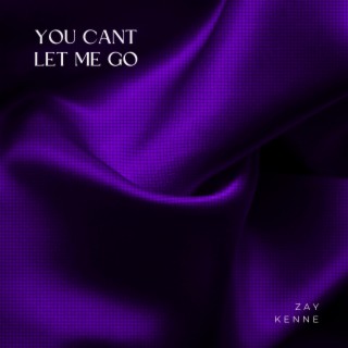 You Can't Let Me Go