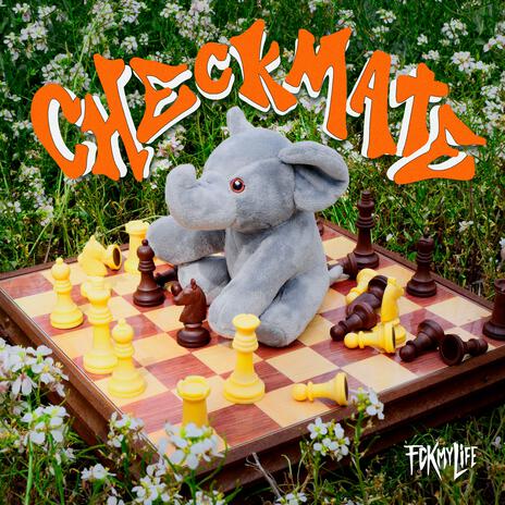 Checkmate | Boomplay Music