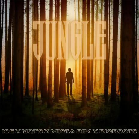 Jungle ft. NOT'S, Mista Rim & Bigroots | Boomplay Music