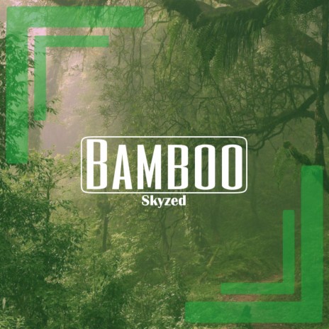 Bamboo | Boomplay Music