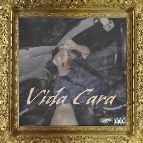 VIDA CARA | Boomplay Music