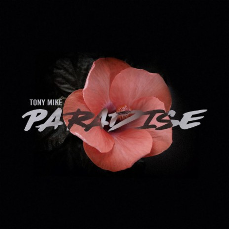 Paradise | Boomplay Music