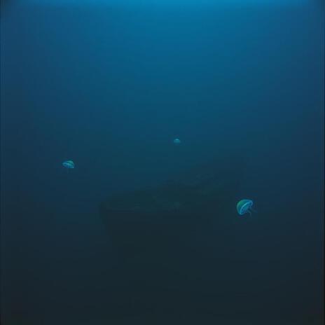 Submerged in Silence